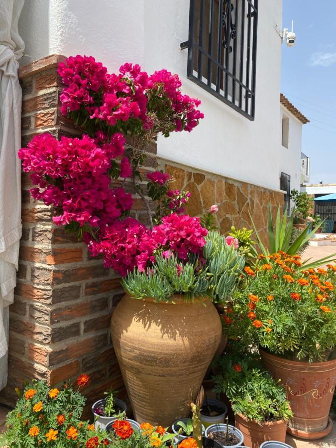Cortijo Perejil, A Tranquil Mountain Escape & Private Pool Apartment Oria ภายนอก รูปภาพ