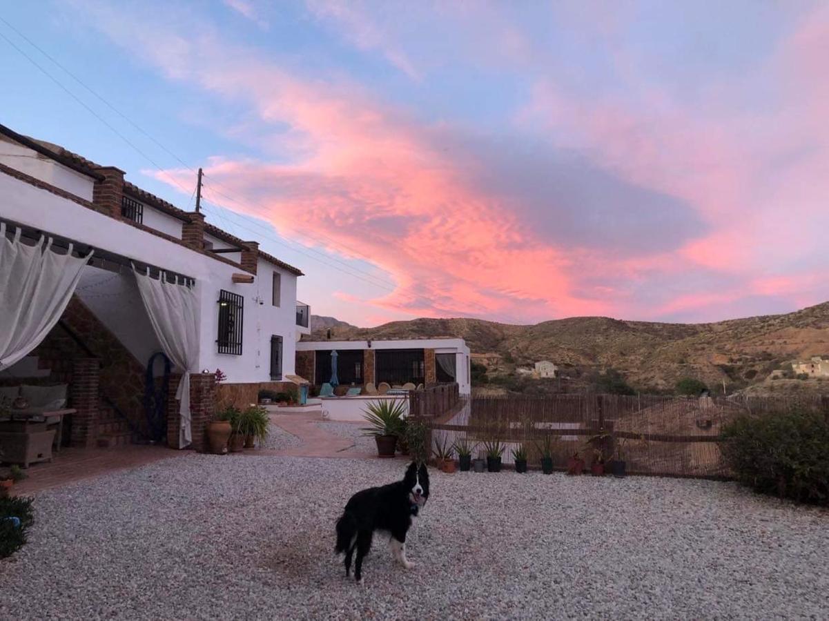 Cortijo Perejil, A Tranquil Mountain Escape & Private Pool Apartment Oria ภายนอก รูปภาพ