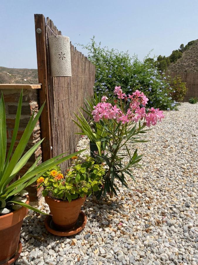 Cortijo Perejil, A Tranquil Mountain Escape & Private Pool Apartment Oria ภายนอก รูปภาพ