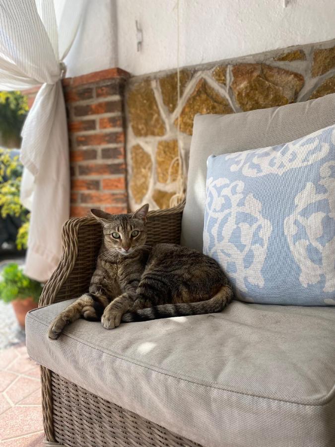 Cortijo Perejil, A Tranquil Mountain Escape & Private Pool Apartment Oria ภายนอก รูปภาพ